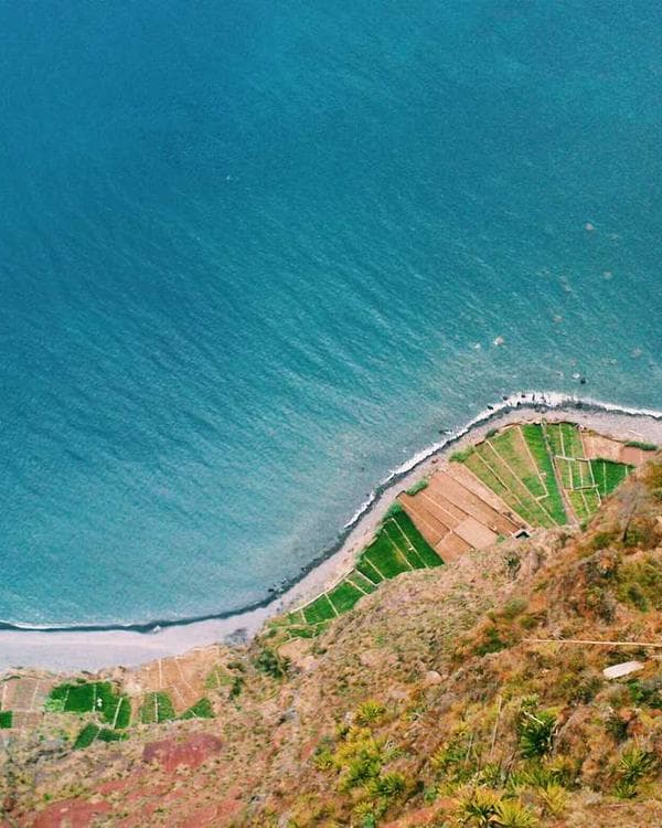 Palm Cove