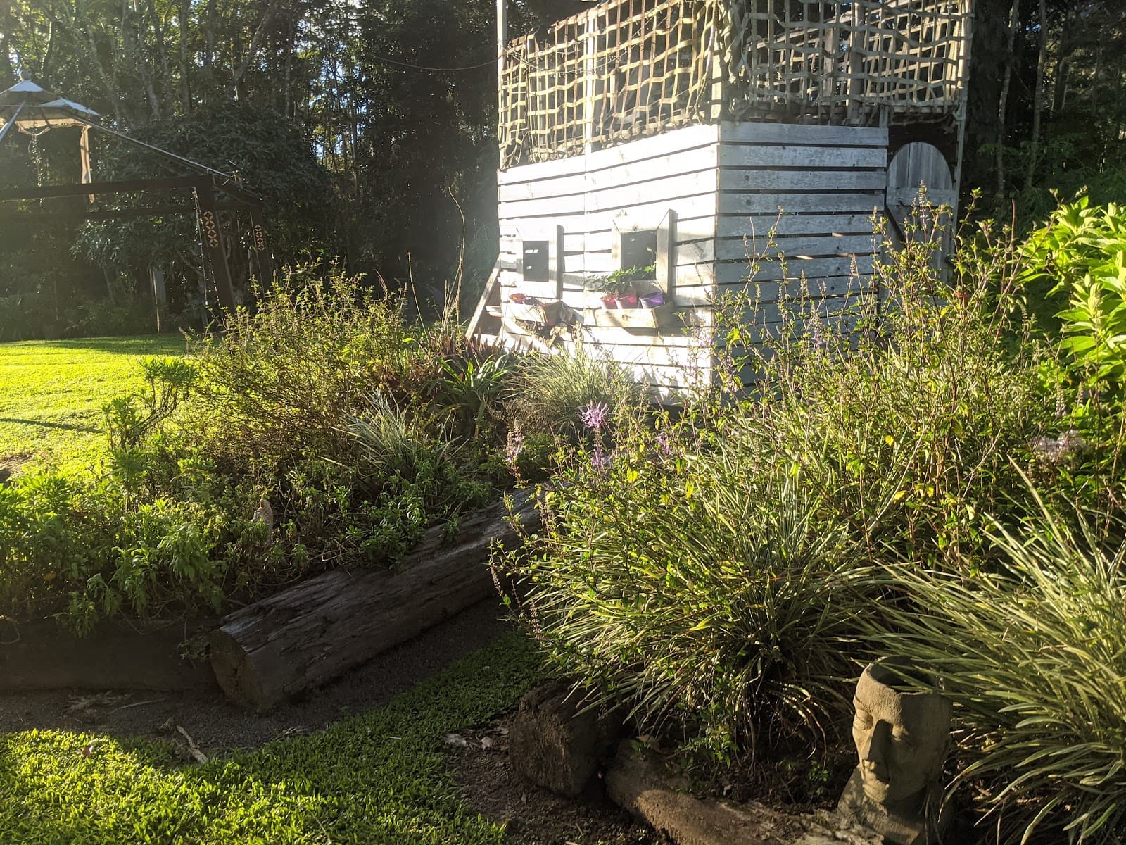 RondayVoo Bed & Breakfast — Kuranda, Cairns